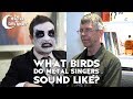 What Birds Do Metal Singers Sound Like?