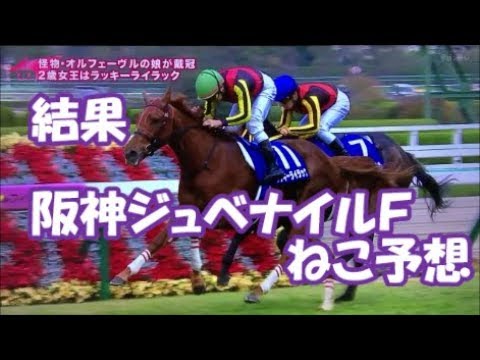 阪神ジュベナイルフィリーズ結果　ねこが選んだ3連単BOX勝負！バルーン大作戦！