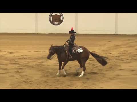 181006 Short Stirrup Emma Zgrebnak on Ms  Lilredrider
