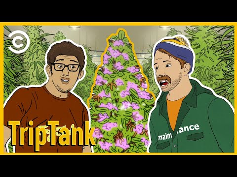 Überdosis | TripTank | S2E20 | Comedy Central Deutschland