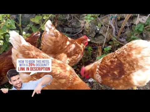 Casa Rural Las Dalias, Villafranca del Cid, Spain HD review