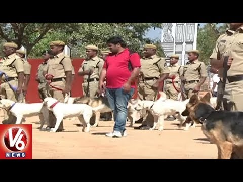Ground Report On Police Dog Training | Integrated Intelligent Training Academy | V6 News