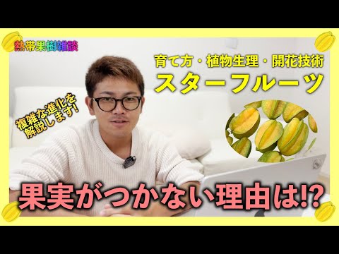 ゴレンシについて詳しく解説