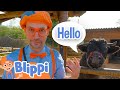 Blippi Pet Zoo Learn Animals Blippi Educational Videos Moonbug Kids