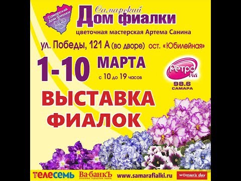 ВЫСТАВКА ФИАЛОК 1-10 марта,Самарский Дом Фиалки