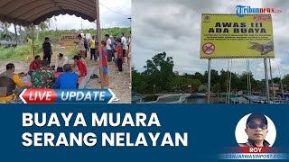 Warga Tanahlaut Resah karena Buaya Muara yang Menyerang Nelayan Tanjung Dewa, BKSDA Pasang Umpan