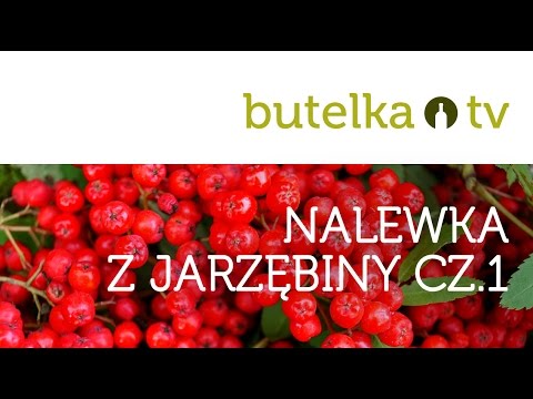 Zdrowa i wyjątkowa nalewka z jarzębiny CZ.1/2