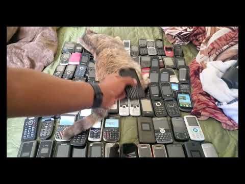 Phone Collection Part 4.