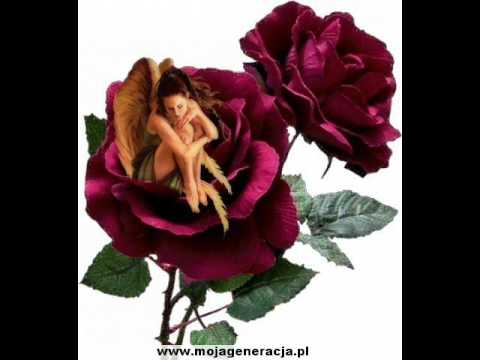 Bolo- Dla Ciebie....