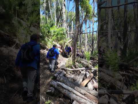 Senderismo, Villa la Angostura.Neuquen