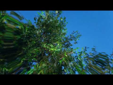 AR/CO - Supersonic L.U.V (Visualizer) [Helix Records]