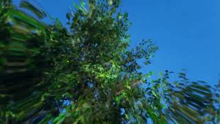 Ar/Co - Supersonic L.U.V. video