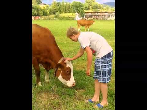 Michal Poláček  poslední vzpomínka