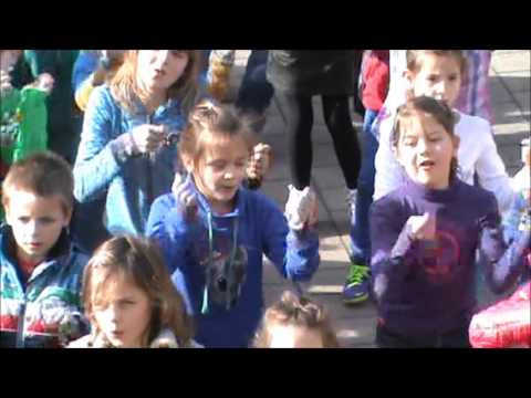 Move tegen pesten 2014