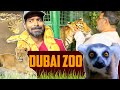 Visiting the Royal Family of Dubai 🐅🦁🦅| Dubai Zoo Vlog | Mr Makapa