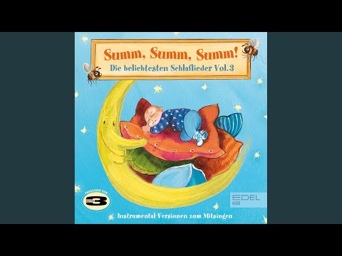 Video thumbnail for Gute Nacht, Bon Nuit, Good Night (Instrumental-Version)