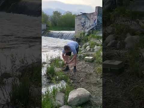What A Hook Set.(Fishing Just After Open)