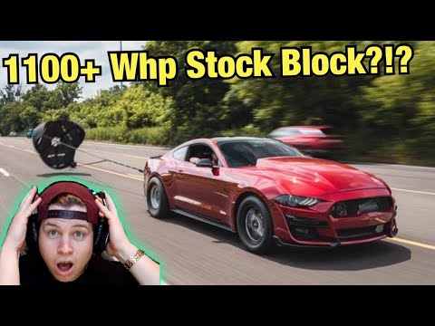 How Can A STOCK MUSTANG Make SO MUCH POWER!?! (Tuner Cars For Sale)