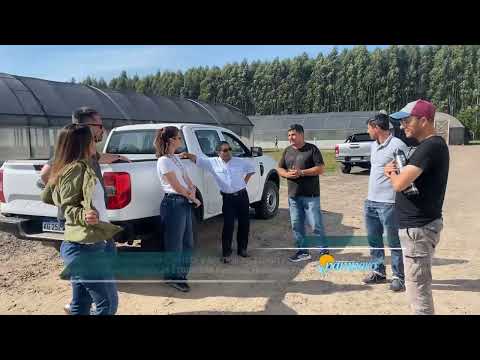 Monitoreo de plantas contra Lobesia