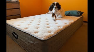 This Hybrid Mattress Has Memory Foam AND Coils--LOOK!