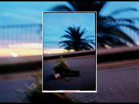 Halley , Cristina Len - Ponme Flores (Visualizer)