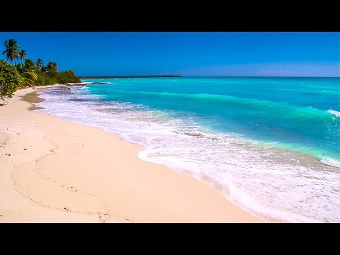 Waves on Saona Island - Relaxing Beach Sounds of the Caribbean Sea For Study, Meditation and Sleep