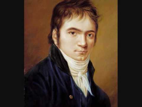 Beethoven: Symphony No. 2 - 1st Movement (Part 1)