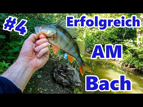 Erfolgreich am Bach - Spinnfischen auf alles was Beißt #4