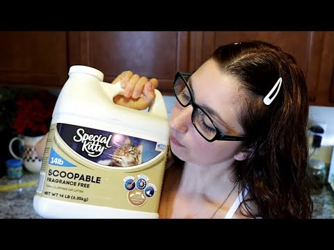 CHEAP CAT LITTER REVIEW | Special Kitty Cat Litter And Litter Box Cleaning Tips