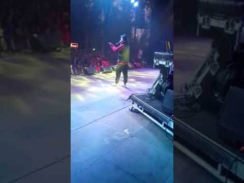 Exibicion Lollapaluza 2019 azecino pepegrillo elemental dtoke..dj atenea