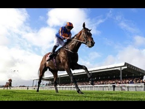 Longines Irish Champions Weekend - Day 2 at the Curragh