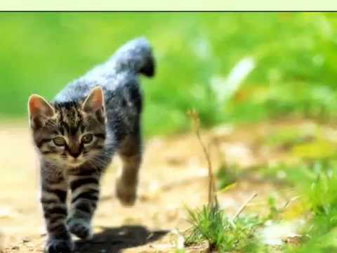 Happy Birthday Rabea