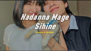 Nadanna Mage Sihine ( slowed & reverb ) නා
