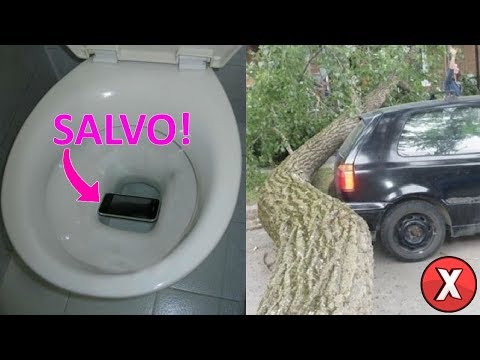 TOP 07 PESSOAS MAIS SORTUDAS DO MUNDO l Almanaque x