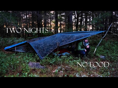 2 Nights Solo Survival Challenge with No Food and Limited Gear