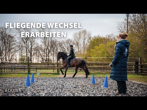 Den fliegenden Wechsel erarbeiten - EQUIVA Talents lernen bei Nicole Uphoff-Selke