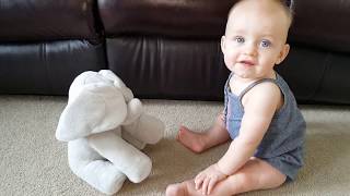 Peek a boo elephant toy sings songs to baby