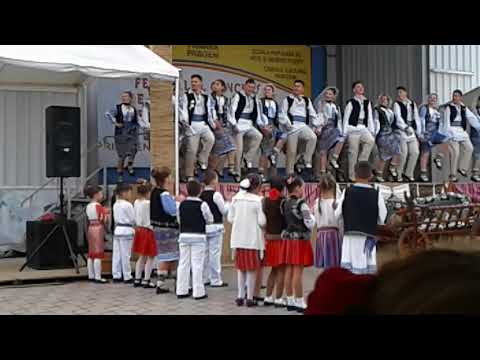 Ansamblul "Doina Cârcinovului"