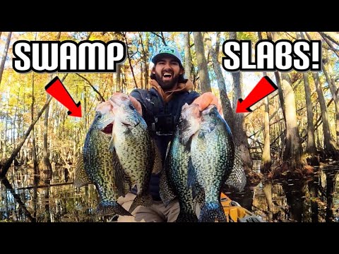 SMASHING SLABS IN A FLOODED FOREST!