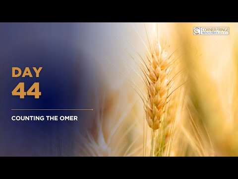 DAY 44: WASH YOUR GARMENTS