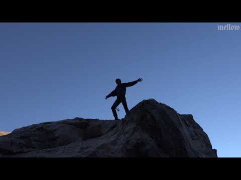 Isabelle Faus: Summer of SwissCo