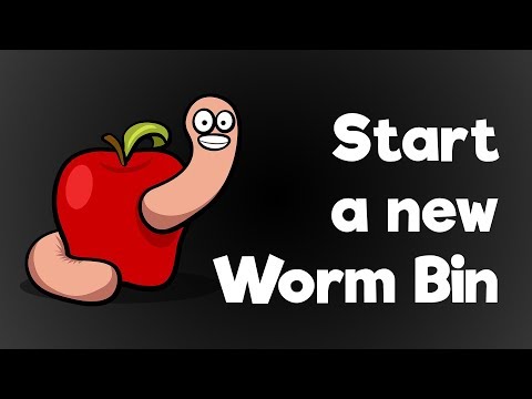 Starting a new worm bin