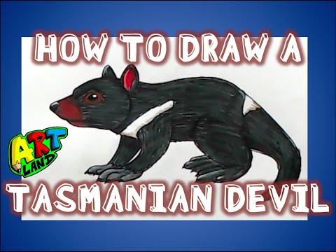 How to Draw a Tasmanian Devil Step by Step – I'm Youtuber – Follow my