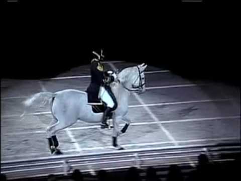 The "World Famous" Lipizzaner Stallions