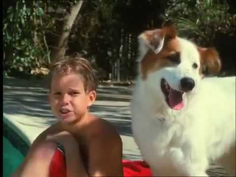 Little Heroes 2 2000 Full Movie