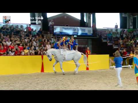 Hoisbüttel 1 (SHO) - Gruppen 14 - DMV Alsfeld 2019