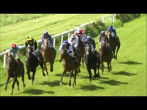 Galopprennbahn Dresden 05.05.2018 - Rennen 6