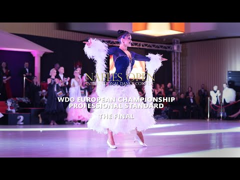 2022 WDO European Championship Professional Standard | The Final