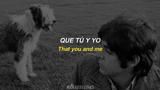 Martha My Dear - The Beatles [Lyrics] [Sub. Español]