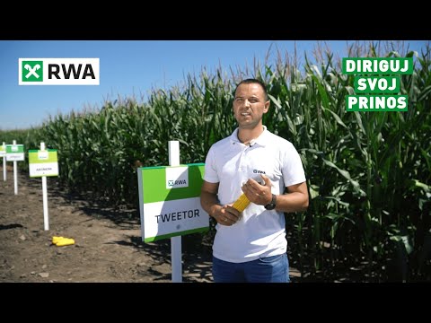 TWEETOR - LIDER u FAO 440 grupi